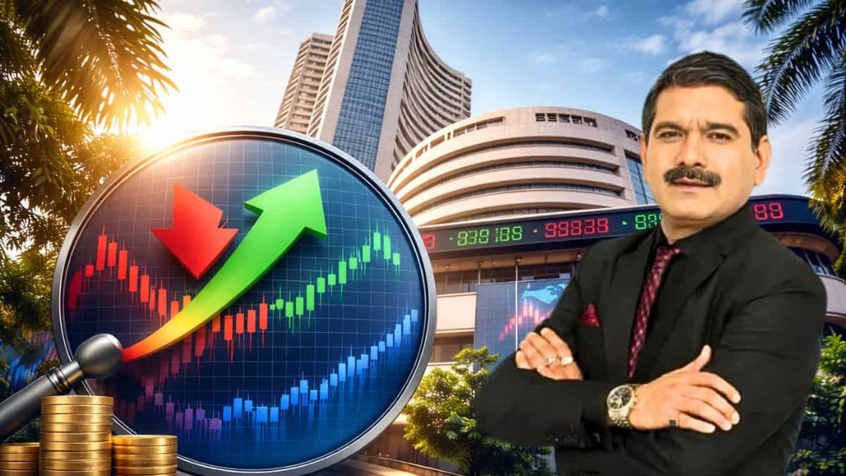 World on Holiday, Dalal Street at Work: Anil Singhvi decodes thin trade on New Year's Day