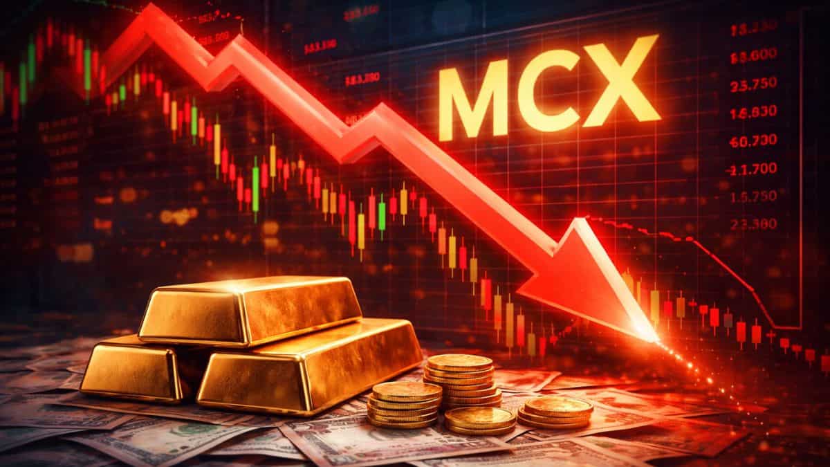Is MCX share price really down 80% today? Here’s what shareholders need ...