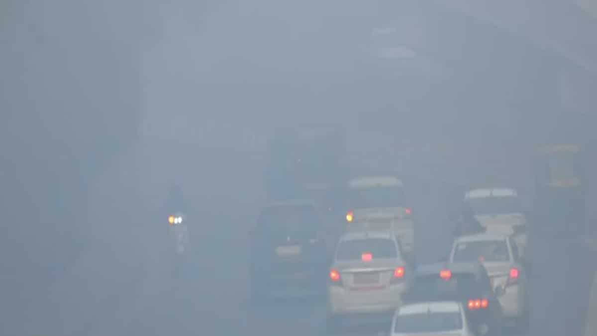 Cold wave, dense fog and severe pollution grip Delhi; Kashmir freezes