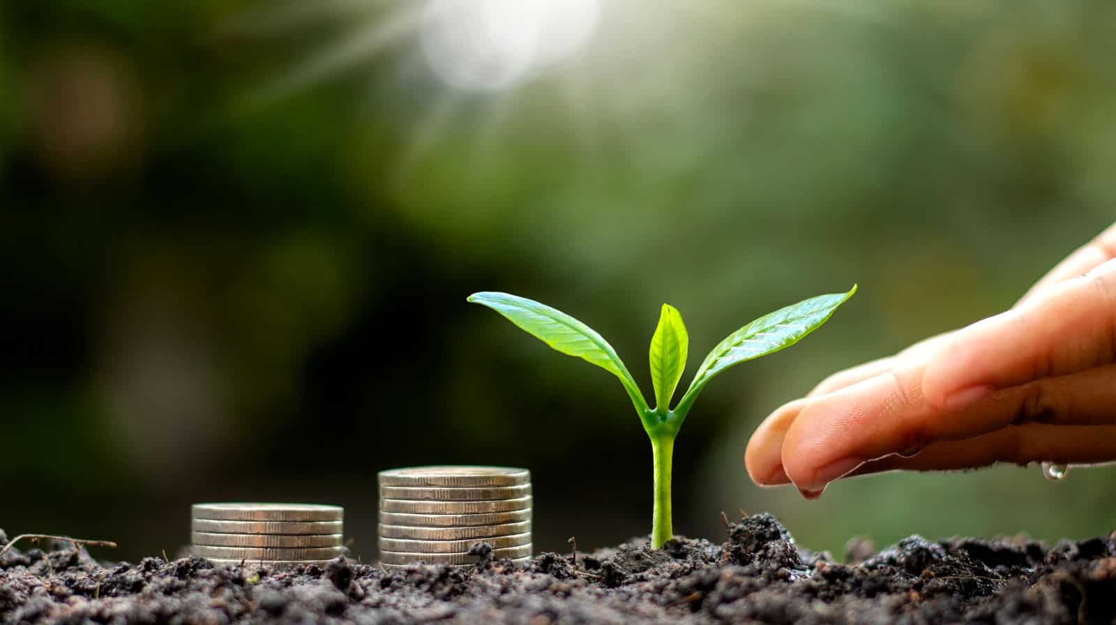 One-time Investment in Mutual Funds: Assuming a 12% annualised return