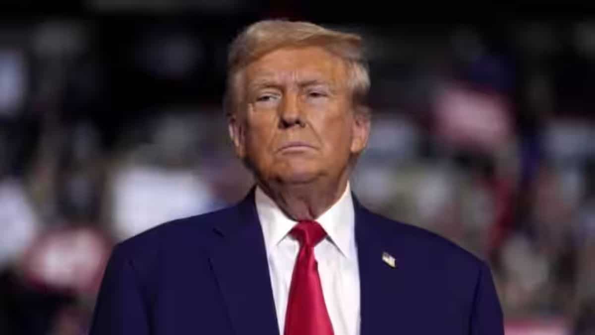 US Senators urge Trump to push for pulse market access in India trade talks