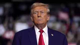 US Senators urge Trump to push for pulse market access in India trade talks