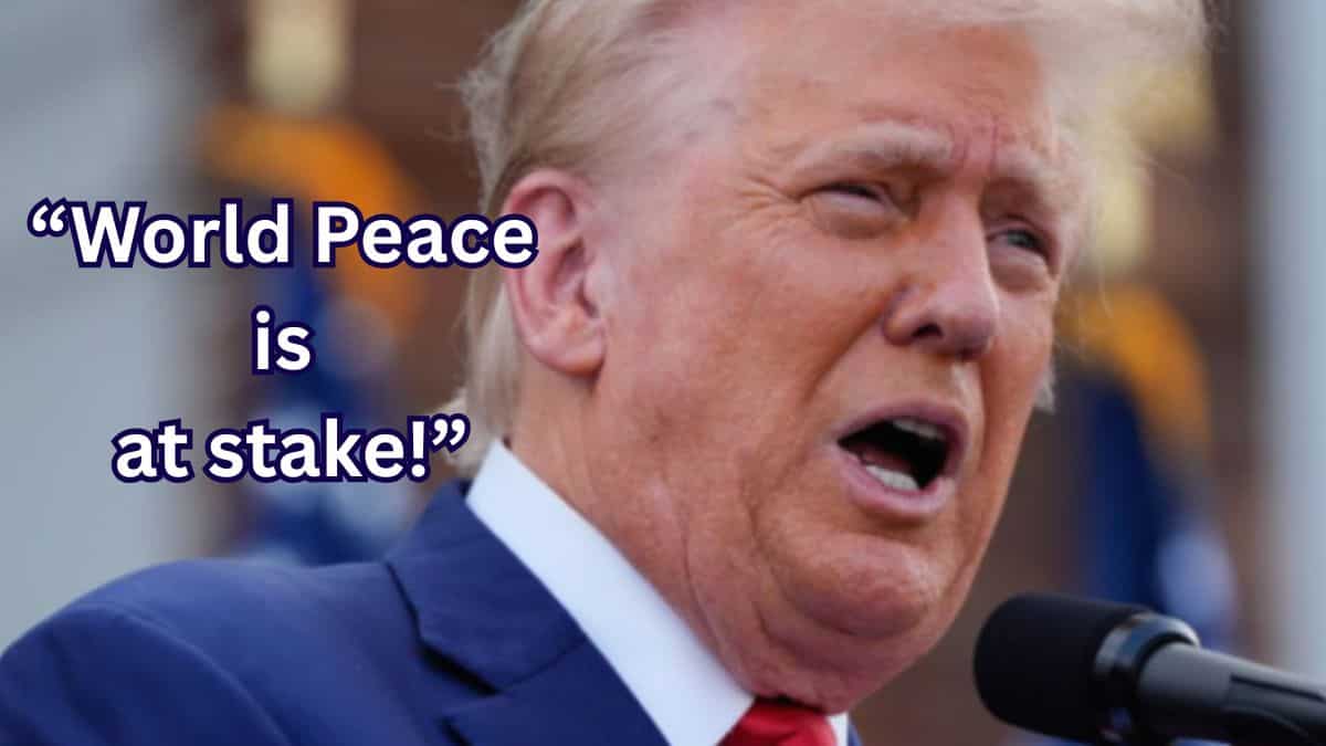 Trump slaps tariffs on 8 European nations as US looks to control Greenland 