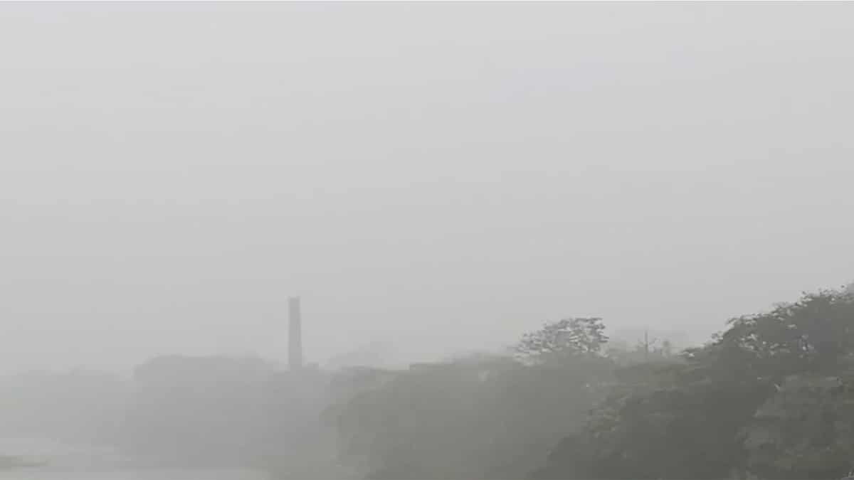 IMD warns of winter rain, dense fog across Rajasthan as western disturbance intensifies