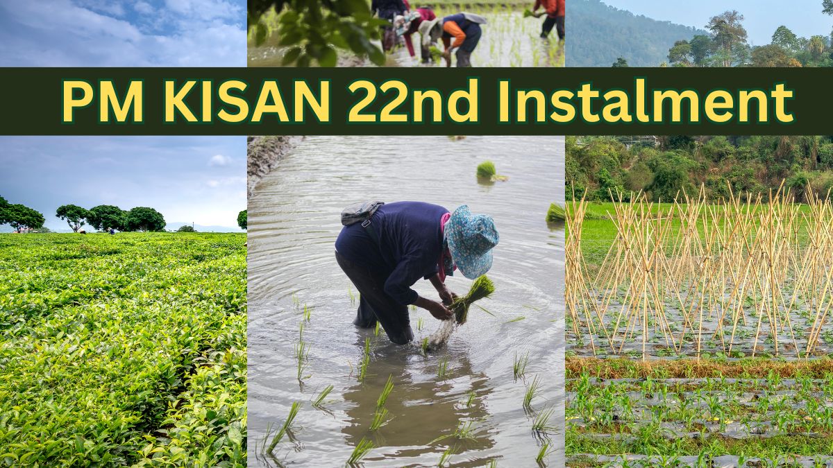 Waiting for 22nd PM Kisan instalment? Skipping these key things can delay your Rs 2,000