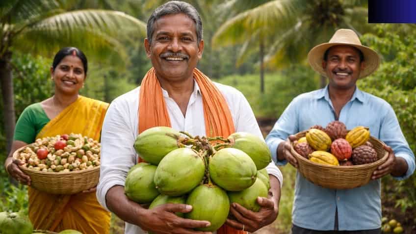 Coconut, Cashew, Cocoa: How Budget 2026’s AI-driven farm push could change farmers’ lives