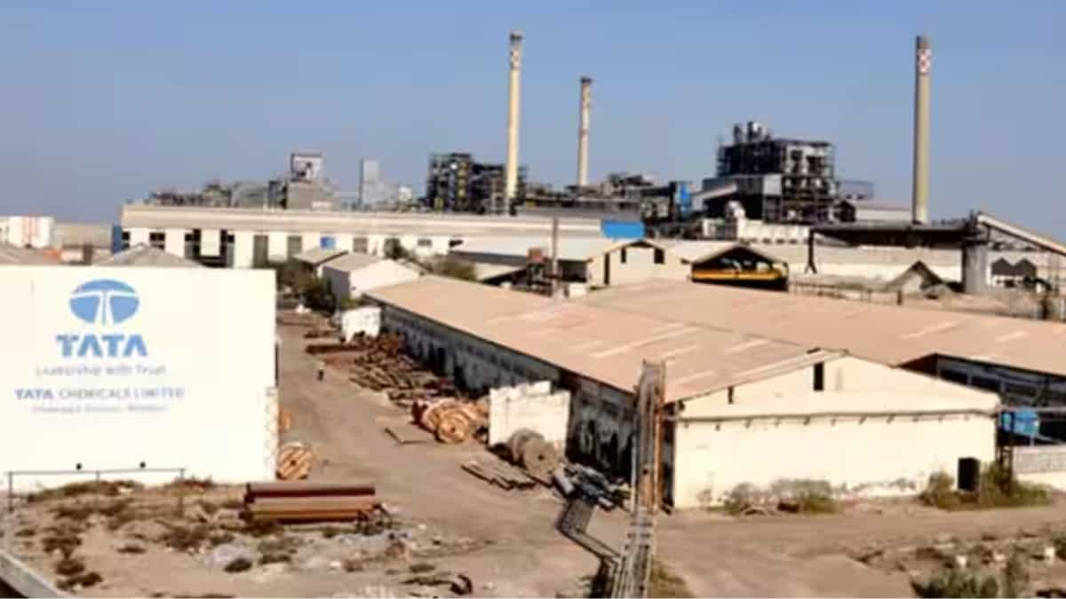 Tata Chemicals Q3 loss widens to Rs 93 crore as margins shrink on rising costs