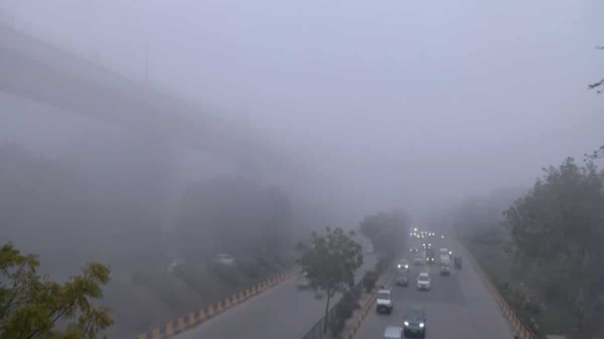 Delhi choked by smog as cold morning brings health worries