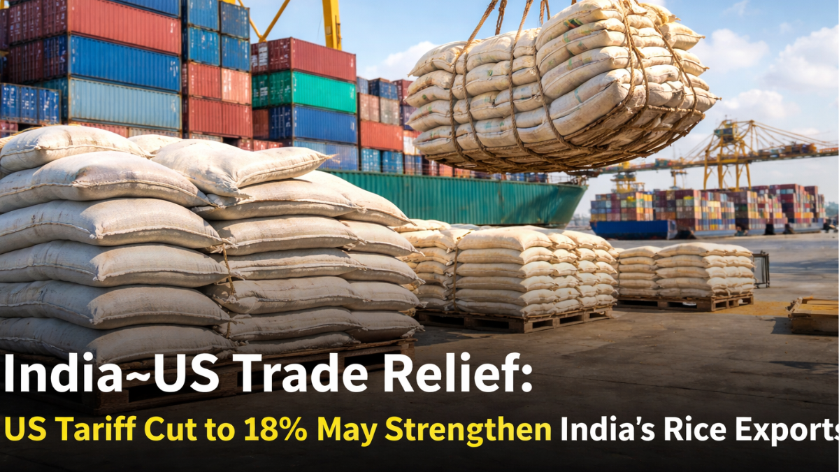India–US Trade Relief: US tariff cut to 18% may strengthen India’s rice exports