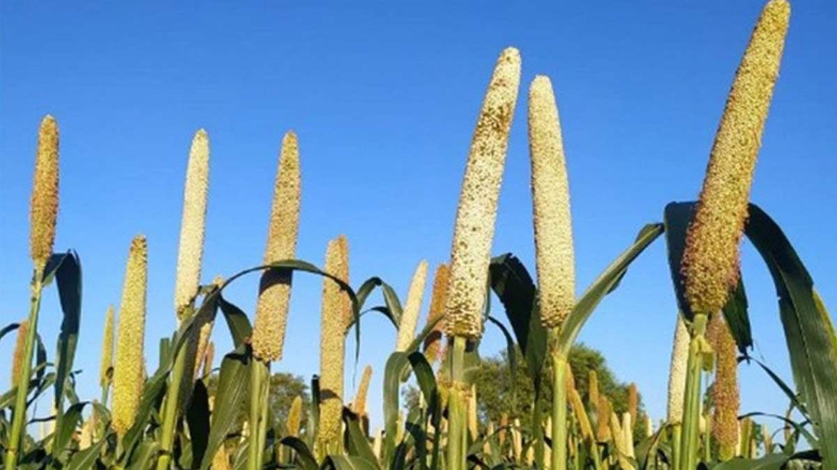 From Low-Income Family to Successful Entrepreneur: JK woman’s journey