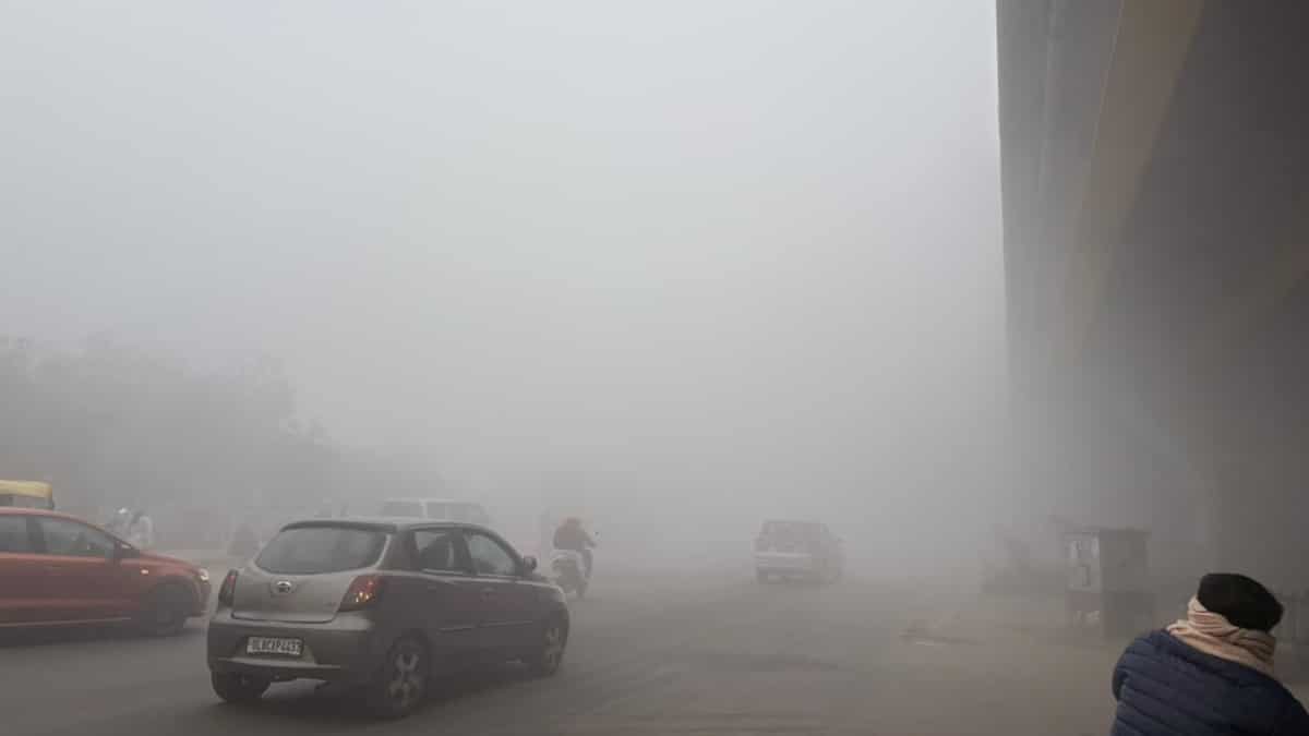 Severe pollution and dense fog make Delhi-NCR mornings hazardous