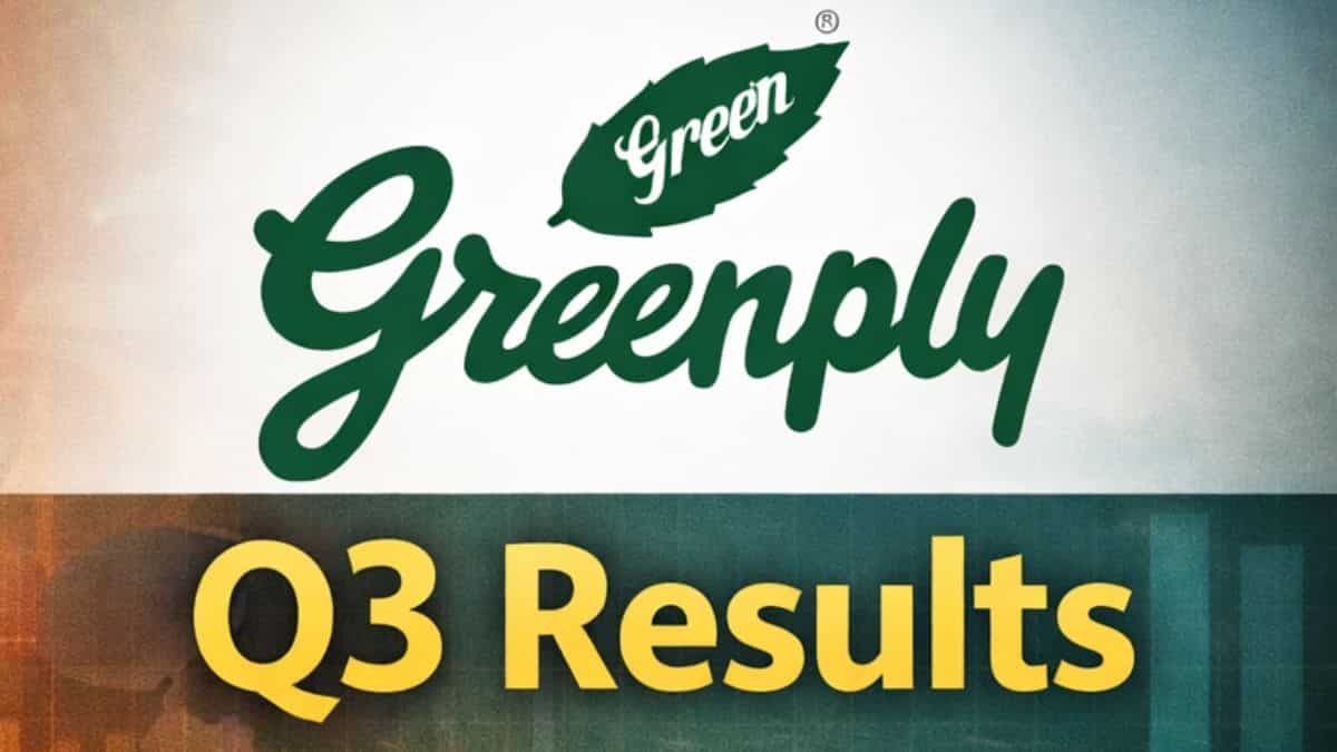 Greenply Industries Q3 Results: Revenue grows 10%, margin improves by 50 bps sequentially