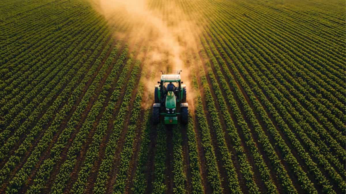 Click, List, Sell: How NE-RACE is changing life for North East farmers