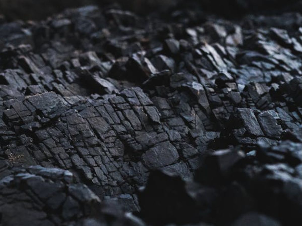 NSE board clears coal exchange proposal; these names are under consideration