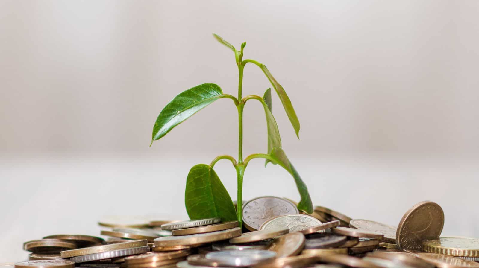 PPF investment of Rs 1,11,111 annually: How much money can I get after 15 years in PPF?