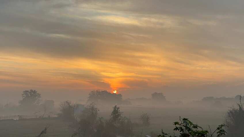 Delhi-NCR wakes up to cleaner skies as AQI drops from 'very poor' to 'moderate'