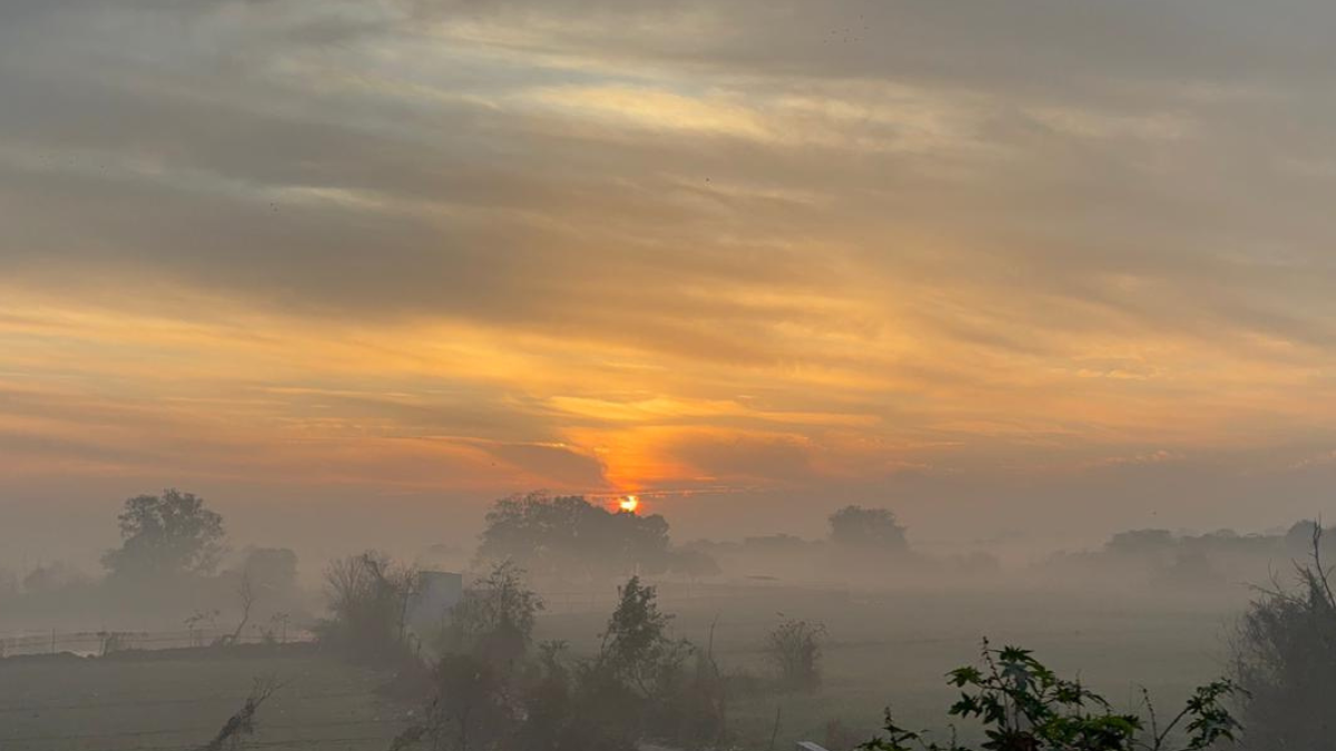 Delhi-NCR wakes up to cleaner skies as AQI drops from 'very poor' to 'moderate'