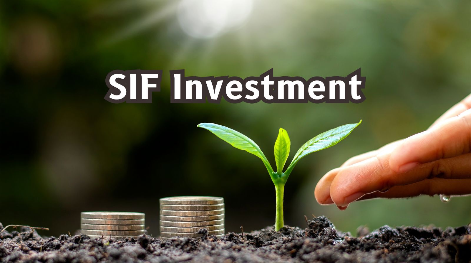 SEBI proposes cutting minimum SIF investment to Rs 1,000 to boost social stock exchange