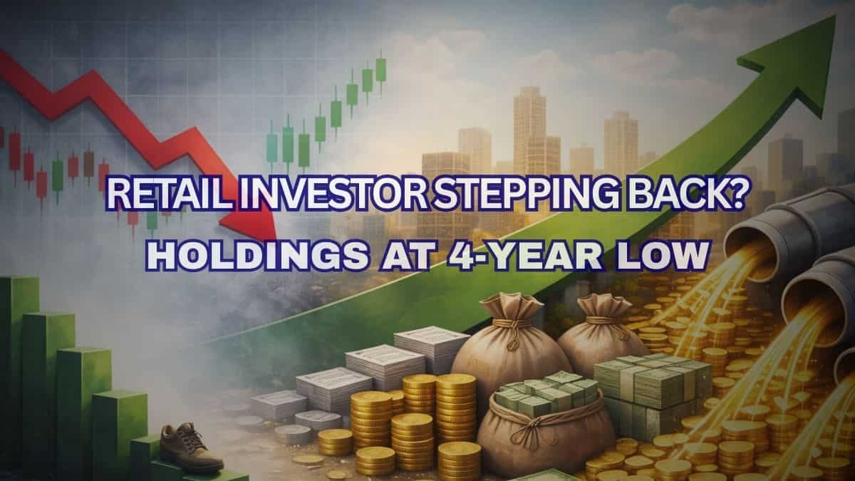 Retail investor stepping back? Holdings hit 4-year low as DIIs take lead amid Rs 1 lakh crore MF inflow