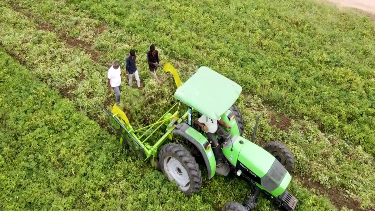 India–US trade pact likely to lift farm incomes, expand access to $46 billion US market