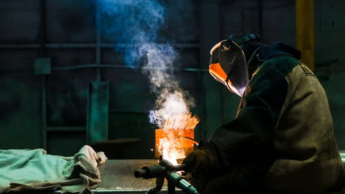 Labour force engagement rises to 55.8%, unemployment rate falls: MoSPI report