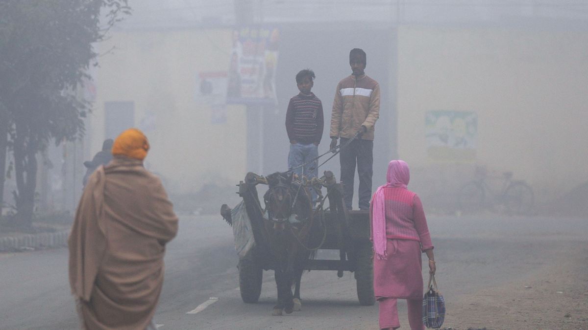 Weather Update: Rising minimum temperatures recorded in Punjab and Haryana; Delhi AQI worsens