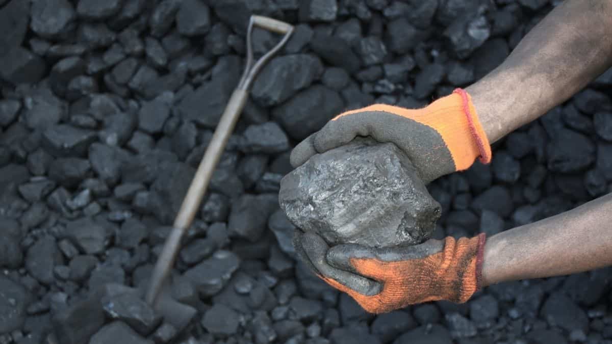 SECL IPO within next 12 months? Gevra mine expansion hinges on land acquisition, says official