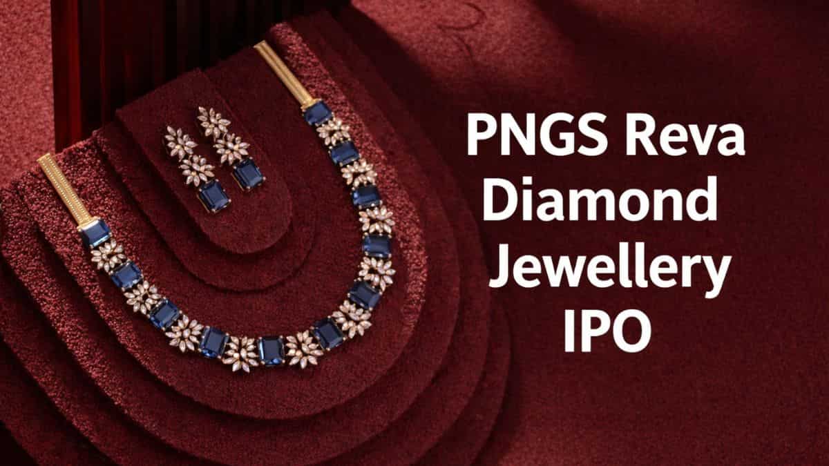 PNGS Reva Diamond Jewellery launches Rs 380-crore IPO; check price band, lot size & other key details