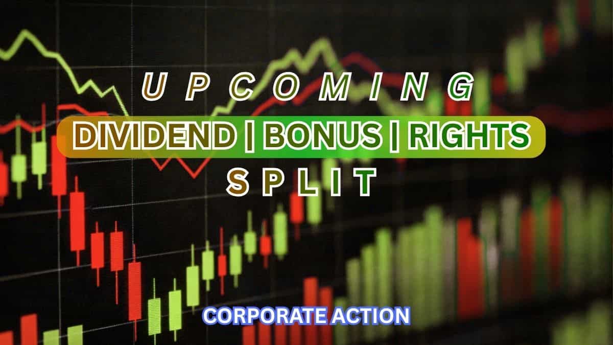 Rs 14 Dividend, 1:4 Bonus, 10:1 Stock Split: Over 10 stocks to turn ex-date next week—See list