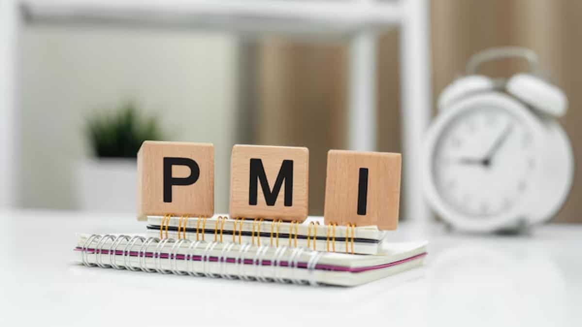 India services PMI steady at 58.1 in February despite slower new orders