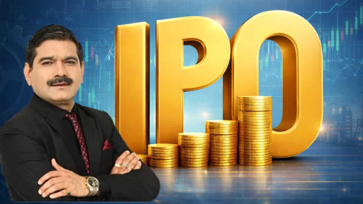 SEDEMAC Mechatronics IPO: Apply now or post-listing? Market expert Anil Singhvi weighs in