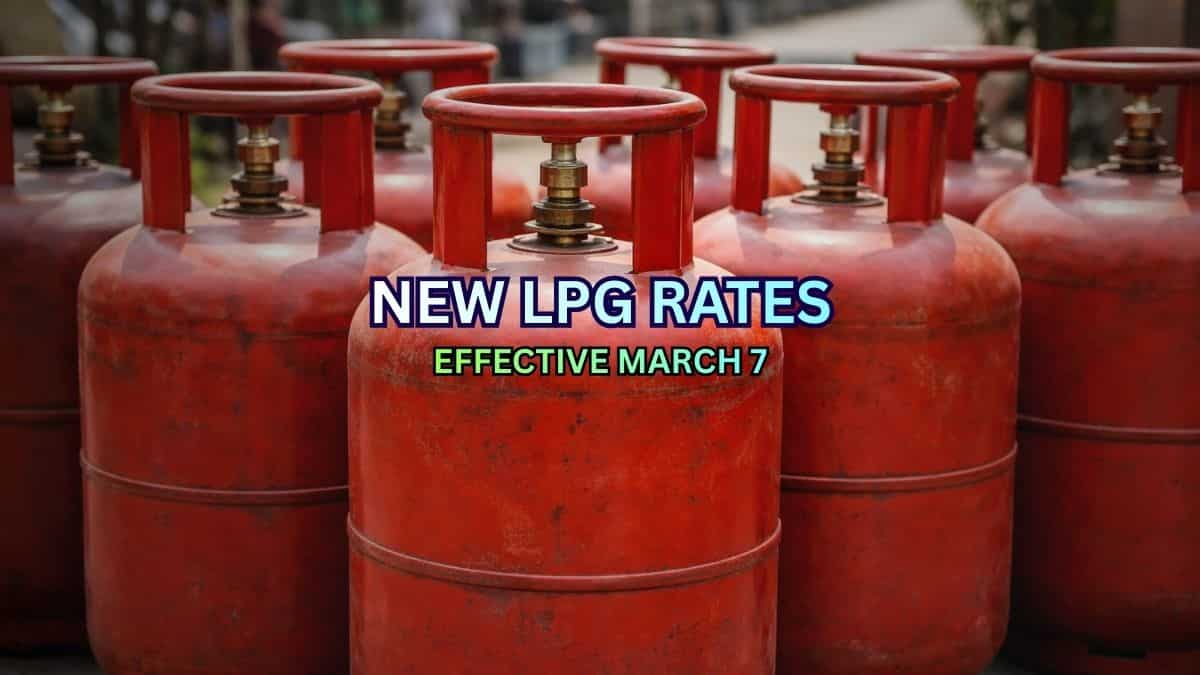 New LPG Rates in March 2026: Cooking gas becomes more expensive; see 19, 14.2 kg rates per cylinder