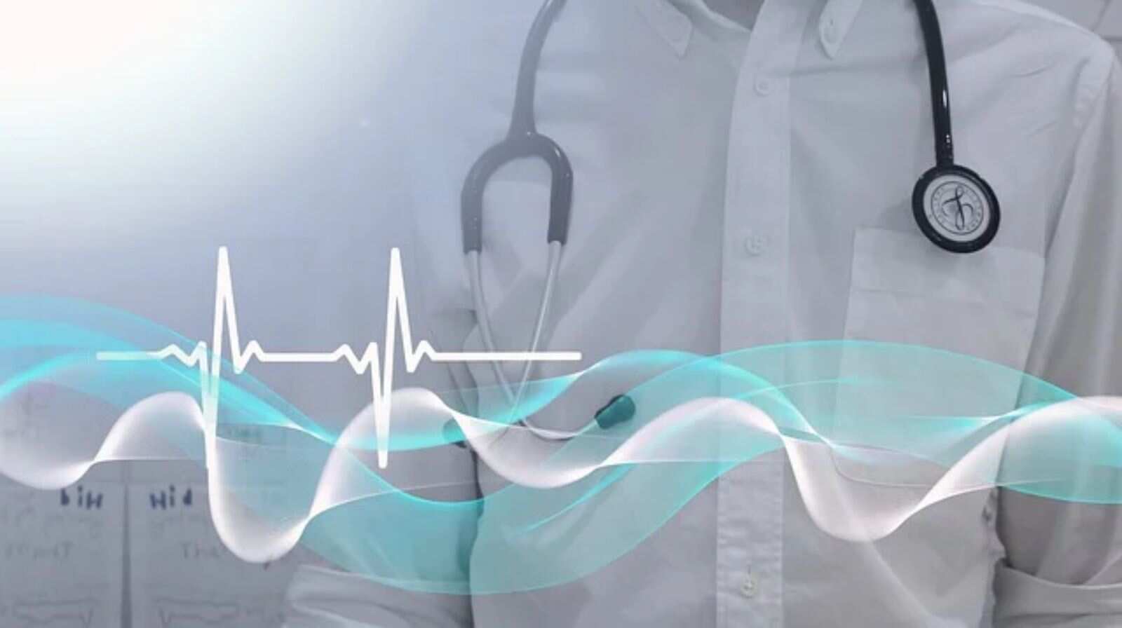 The Promise in Her Diary: How a civil engineer’s last 'bridge' saved 5 strangers