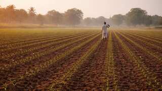 International Women’s Day: Kisan Trust organises ‘Aparajita Samman Samaroh 2026’