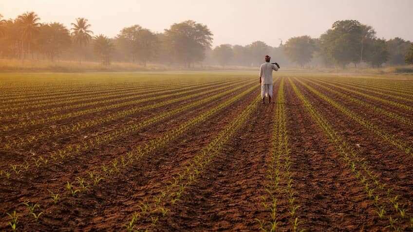 International Women’s Day: Kisan Trust organises ‘Aparajita Samman Samaroh 2026’