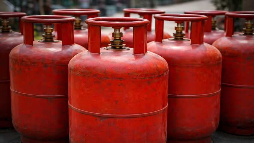 'Don't panic-book LPG refills': Govt says supply normal, delivery cycle 2.5 days