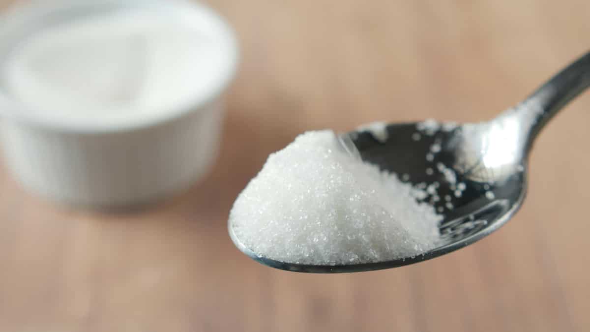 Global sugar prices crash as Brazil surplus shakes markets, India stays steady: ICRA