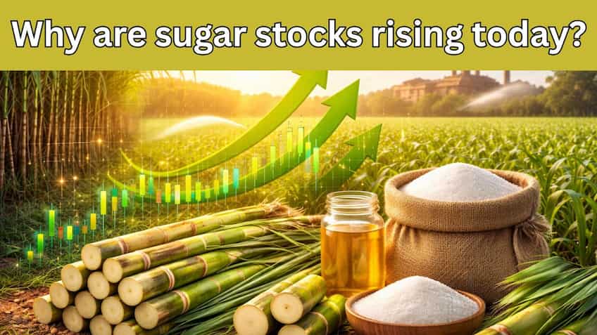 7% return in one day: Why are sugar stocks rising today?