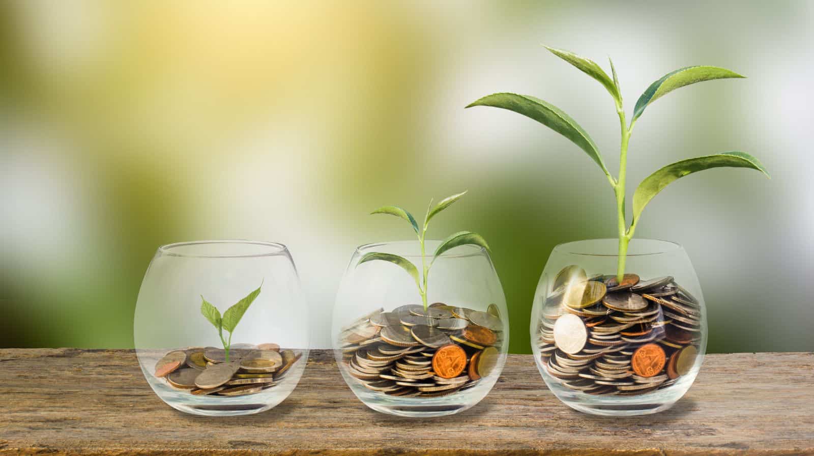 PPF investment of Rs 1,01,010 annually: How much money can one get after 15 years in PPF?