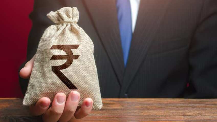 Govt rolls out Rs 20,000 crore credit guarantee scheme to boost MFIs; 36 lakh borrowers to benefit