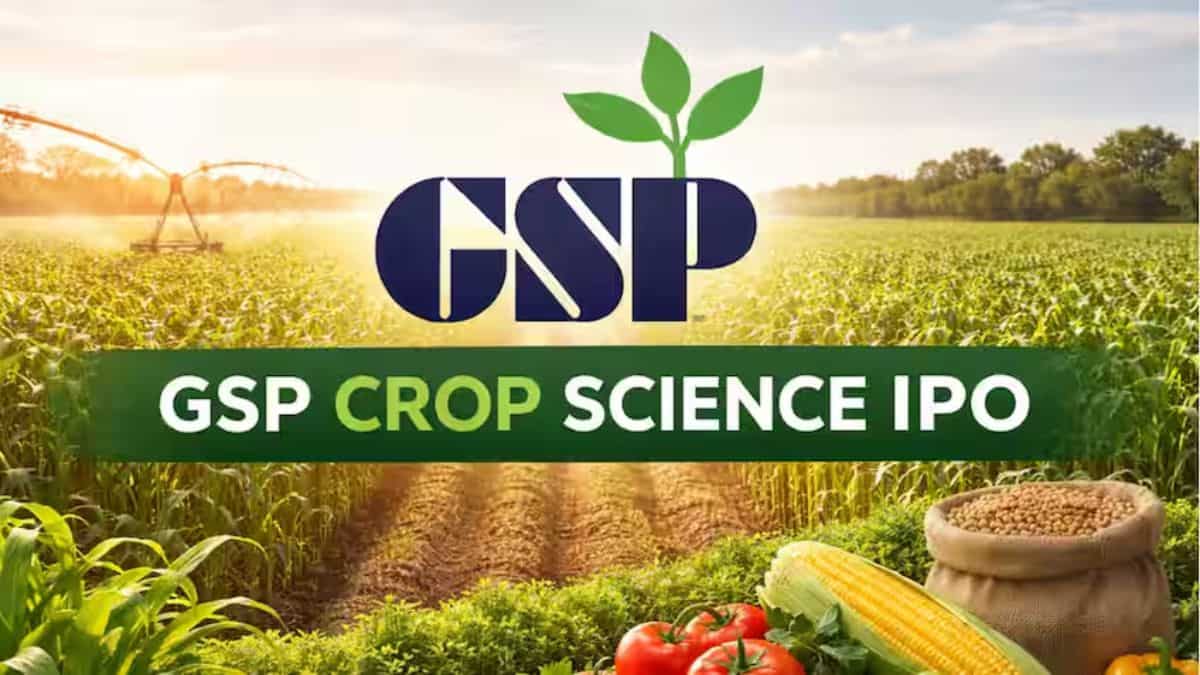 GSP Crop Science shares list at 4% premium on D-Street; check per lot gains
