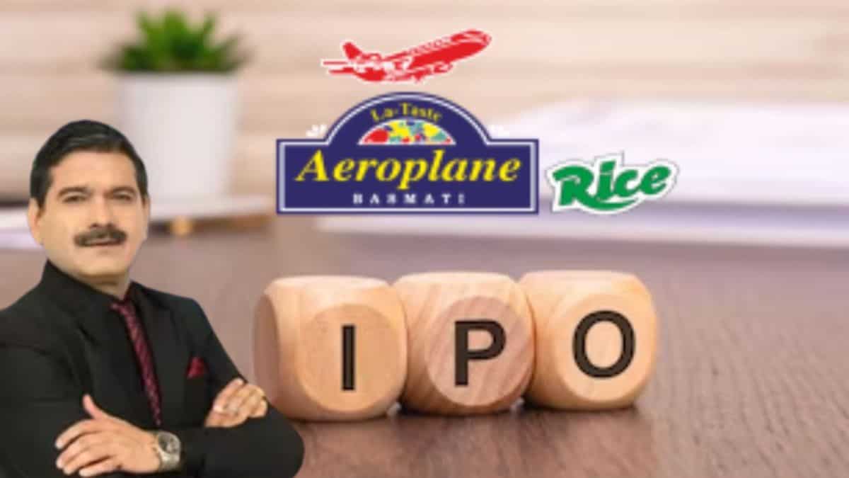 Amir Chand Jagdish Kumar IPO: Apply or avoid? Here's what Anil Singhvi thinks