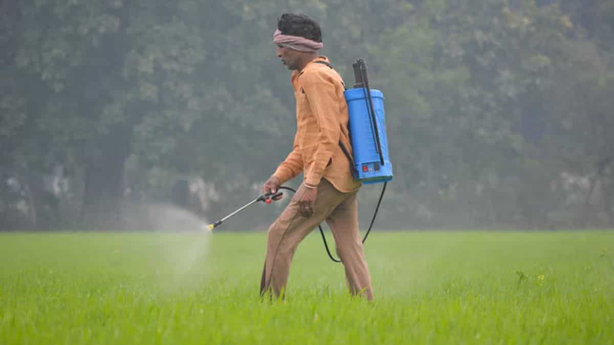 Fertiliser output may drop 10–15% as Middle East crisis disrupts supplies: Report