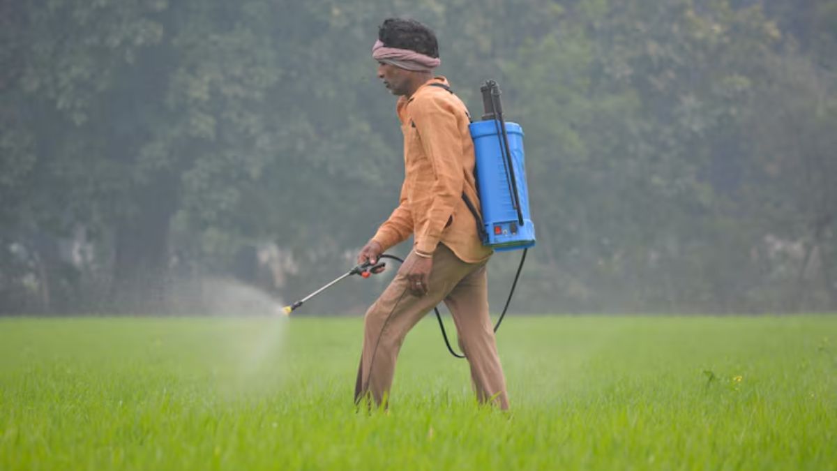 Fertiliser output may drop 10–15% as Middle East crisis disrupts supplies: Report
