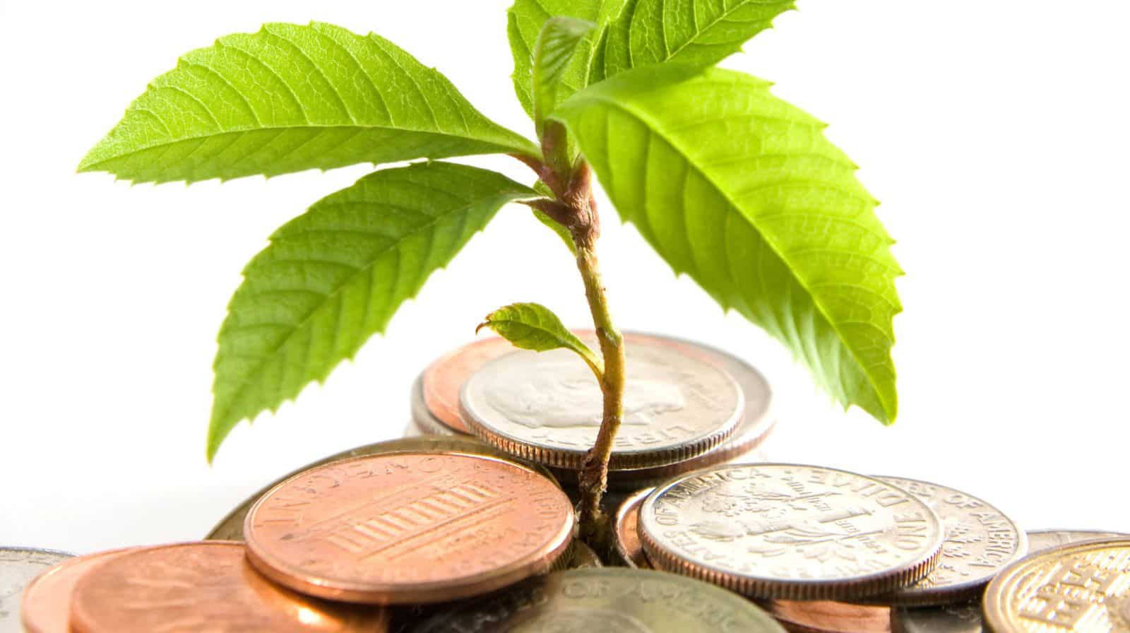 PPF Vs SIP: What rate of return are we using for the calculation?