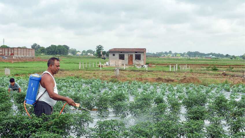 Goldman Sachs flags global food Risk from Hormuz fertilizer disruptions