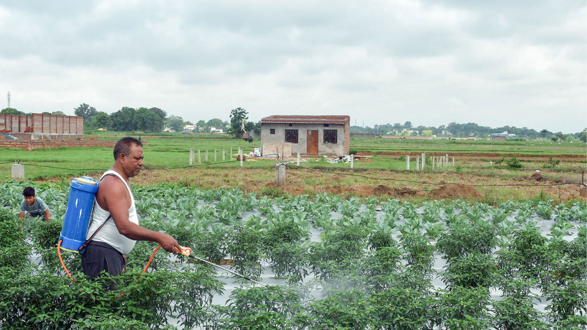 Goldman Sachs flags global food Risk from Hormuz fertilizer disruptions
