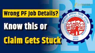EPFO Alert: Wrong job details can delay PF transfer and reject your claim