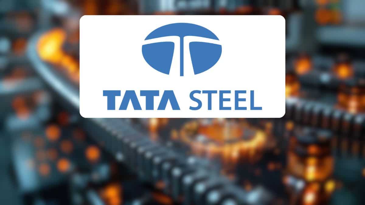 Tata Steel to hit Rs 250? HSBC picks 2 metal stocks; one BUY, one HOLD