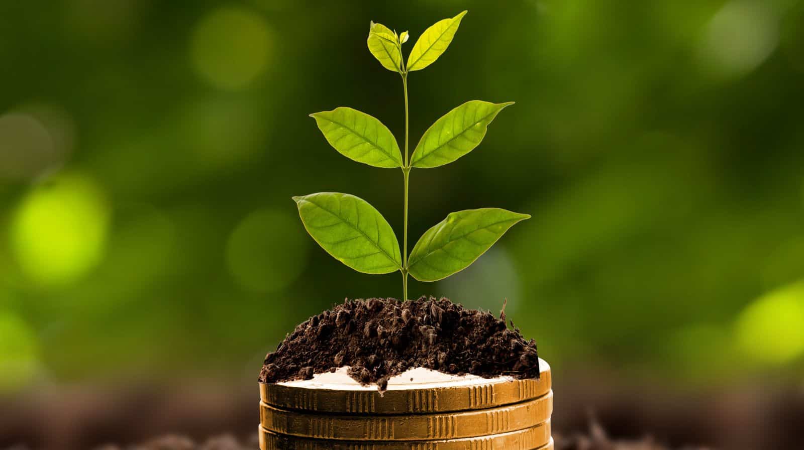 One-time Investment in Mutual Funds: Assuming a 12% annualised return